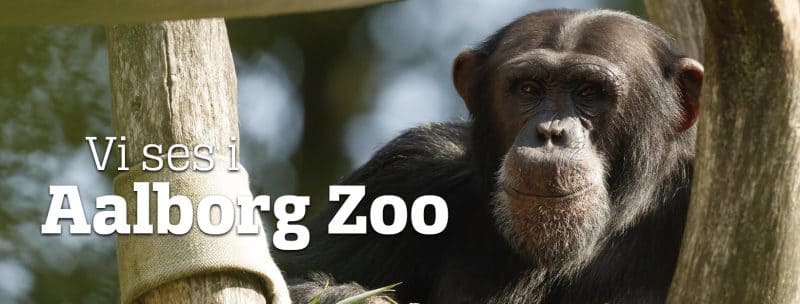 aalborg zoo 2